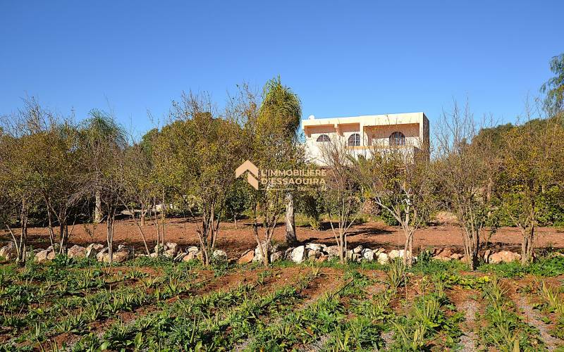 Villa Had Dra_VNA (44)